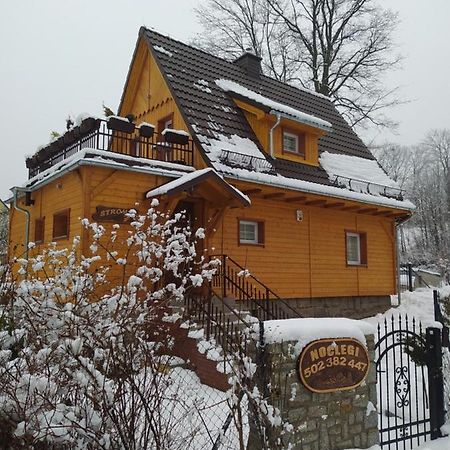 Sosnowa Chata - Dom Z Prywatna Sauna Schreiberhau Exterior foto