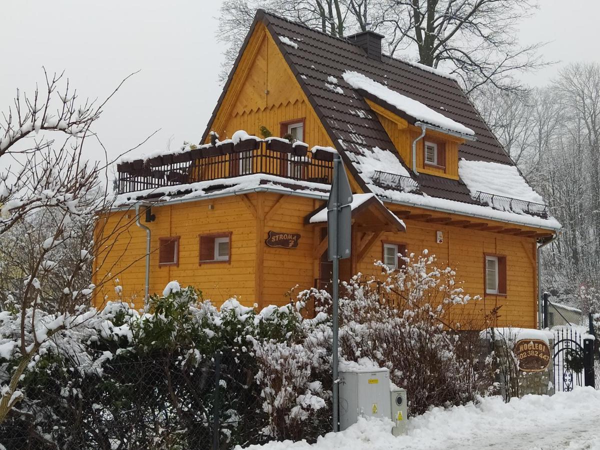 Sosnowa Chata - Dom Z Prywatna Sauna Schreiberhau Exterior foto